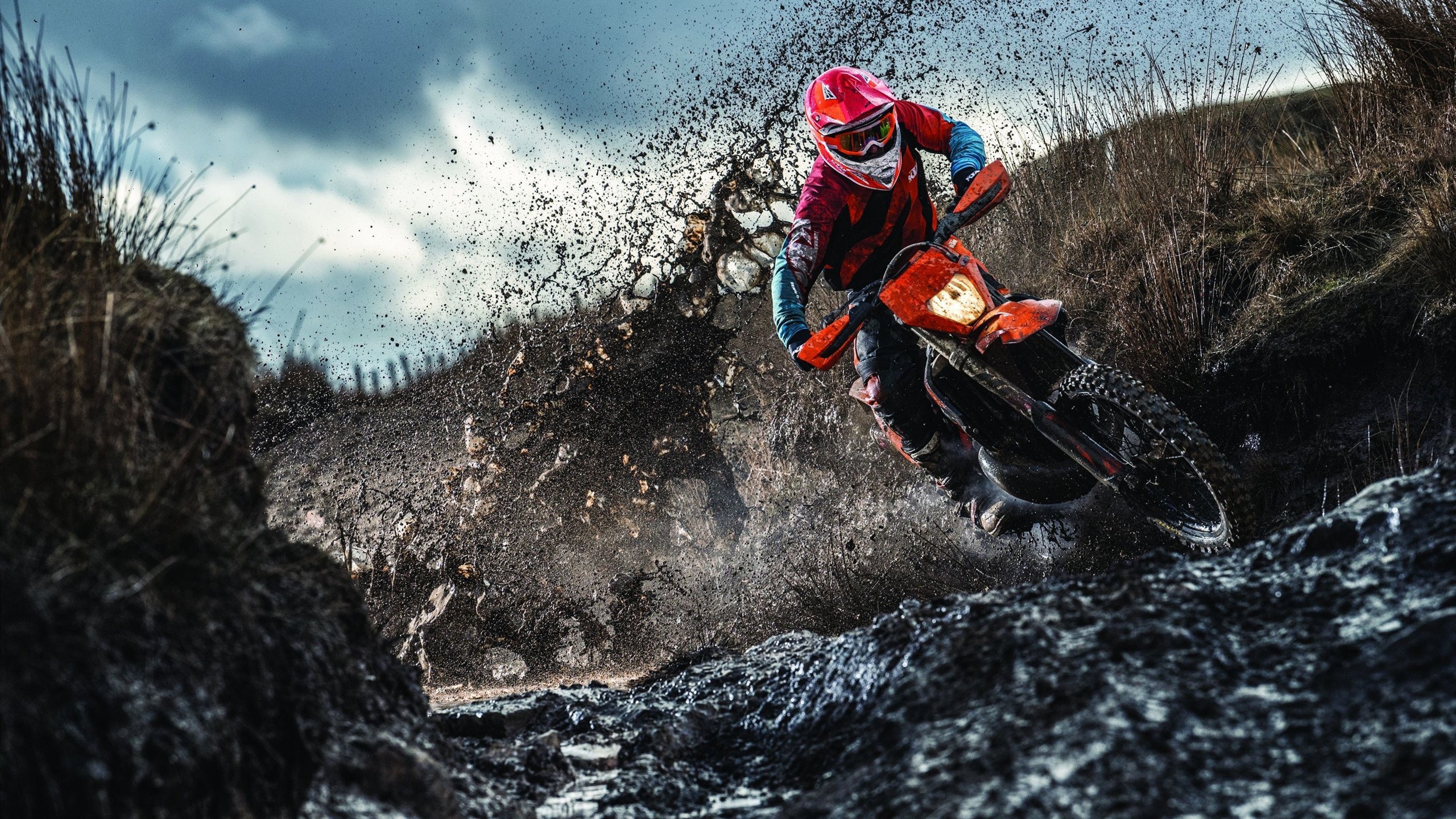 美国骑手斯蒂芬·彼得斯在巴黎奥运会上代表美国队参赛，尽管未能获得奖牌，但展现了丰富经验。