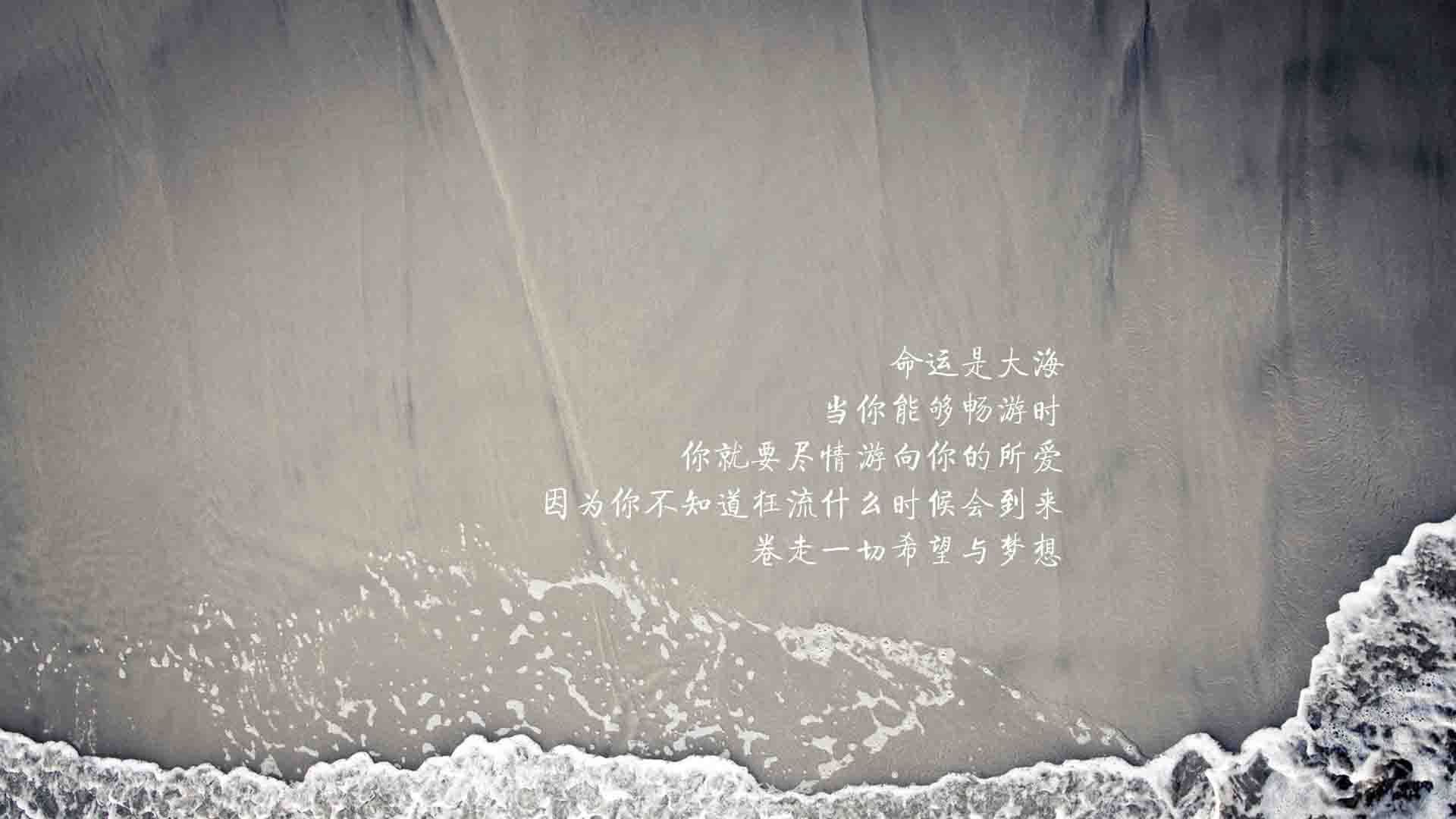 _奇才队士气如虹，不屈不挠取胜_，奇才队员