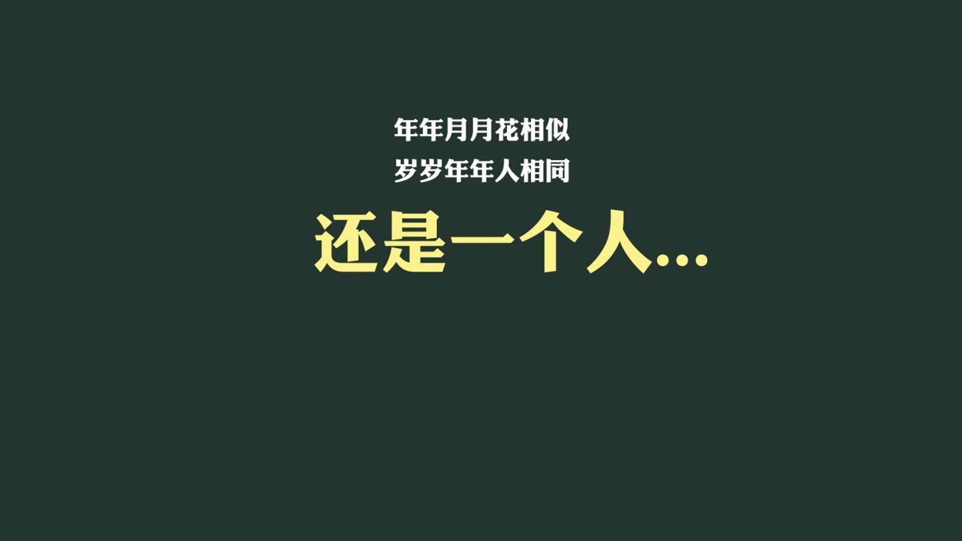 墨西哥马术协会推出马匹健康管理系统，提升马匹福利。，墨西哥马拉松运动员