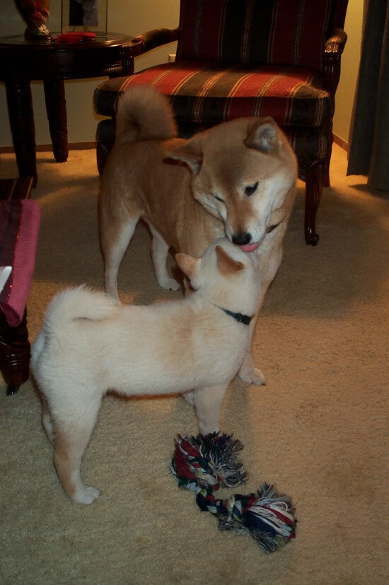 足球全景直播技术试点多角度同步转播,足球直播画面