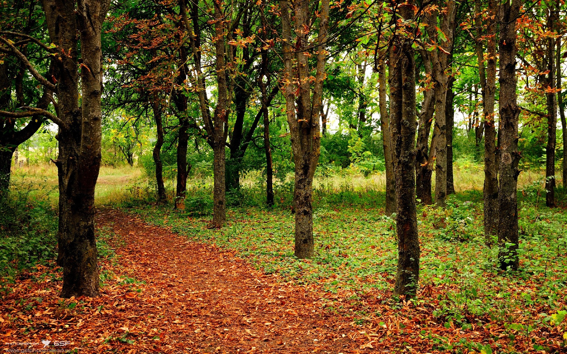 开云体育下载网址-香肠派对节日挑战赛火爆开启，萌系吃鸡乐趣无限，香肠派对节日皮肤