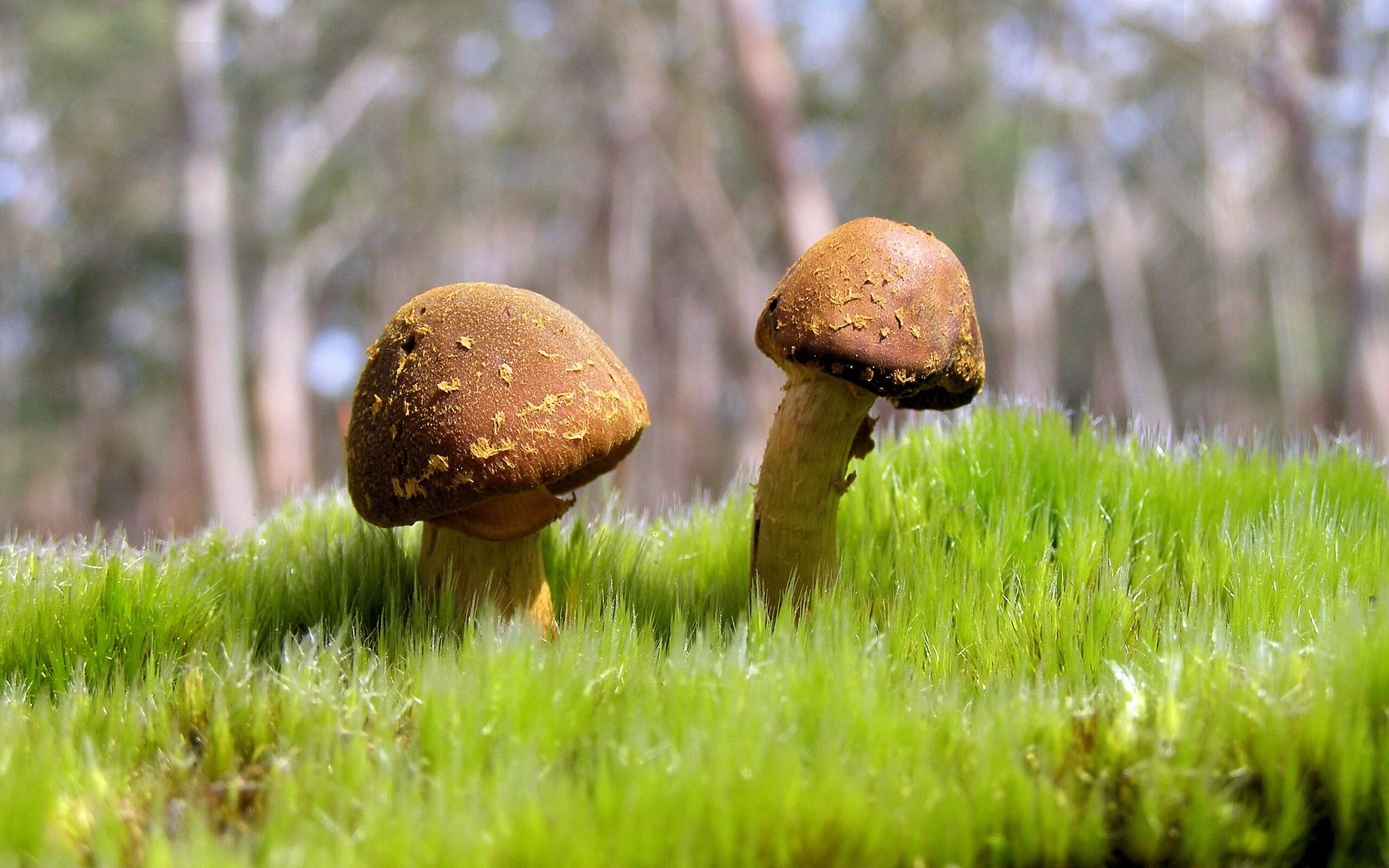 开云APP-青训体系“从娃娃抓起”，各级青少年赛事不断丰富，青训是啥