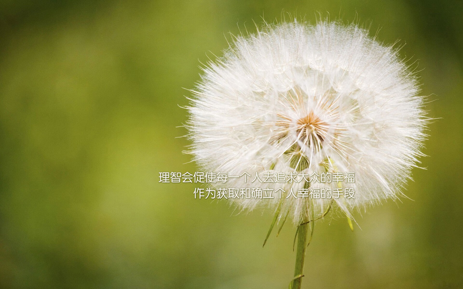 kaiyun sports-Aster团队配合日益默契，aster team