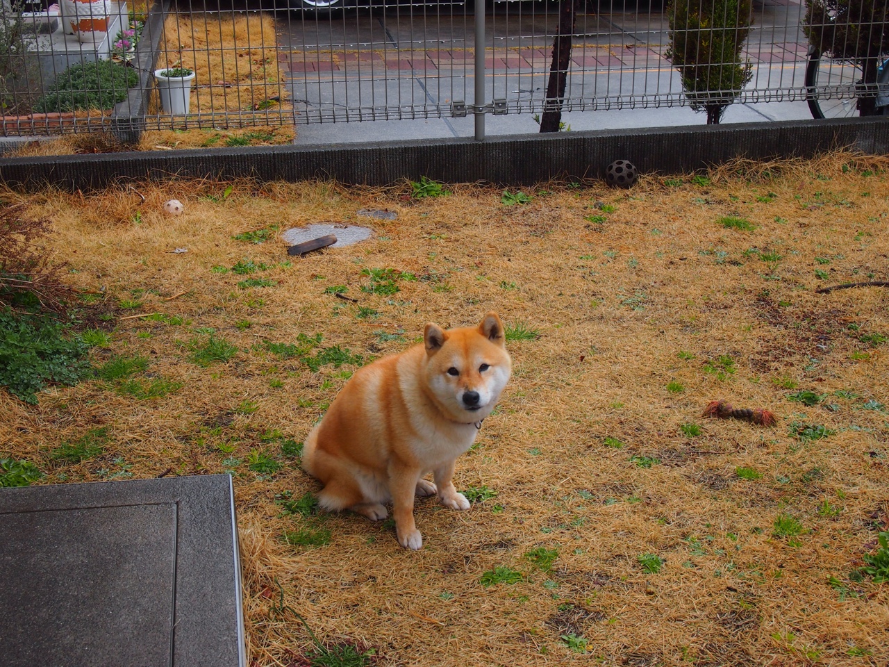 kaiyun app-一决高下：球场上两队实力对比悬念无限，胜负难料，一决高低还是一决高下