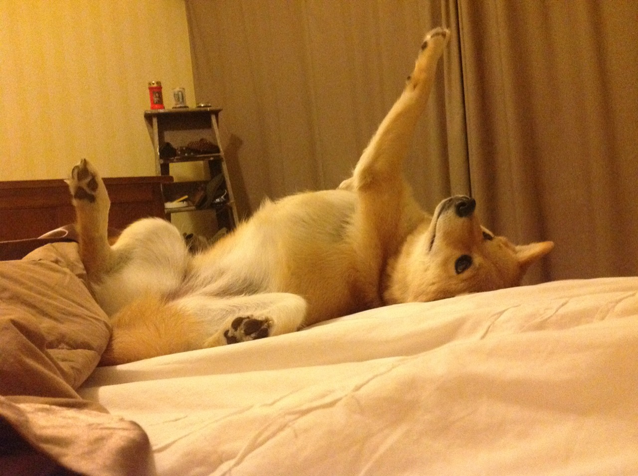 中超联赛重庆当代宣布换帅，重庆中超球队球员名单