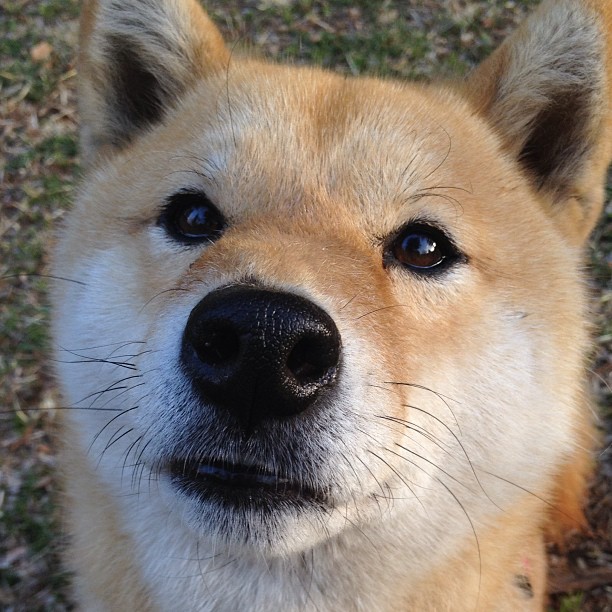 场外风波影响马尔赛,球队进入挣扎期,马尔塞尤百科
