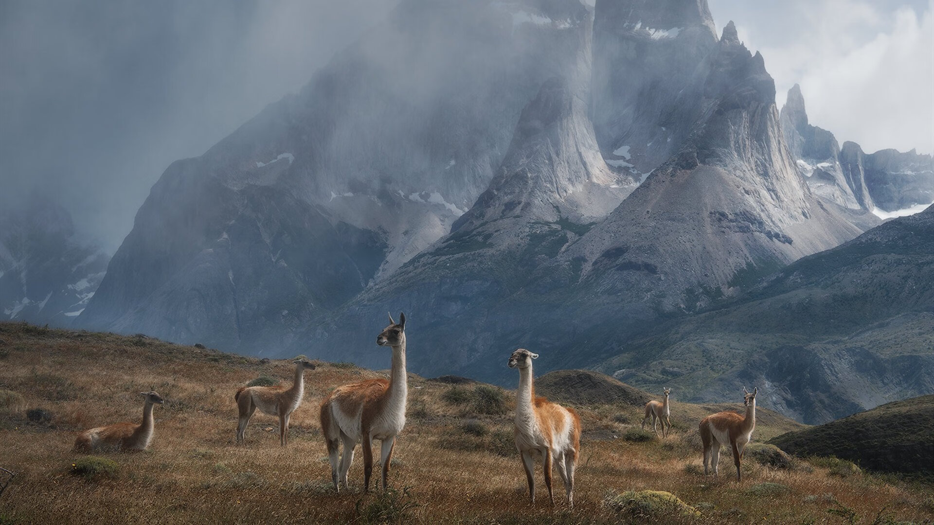 多特蒙德客场1-1战平柏林联合，遭遇平局，多特蒙德vs柏林赫塔l