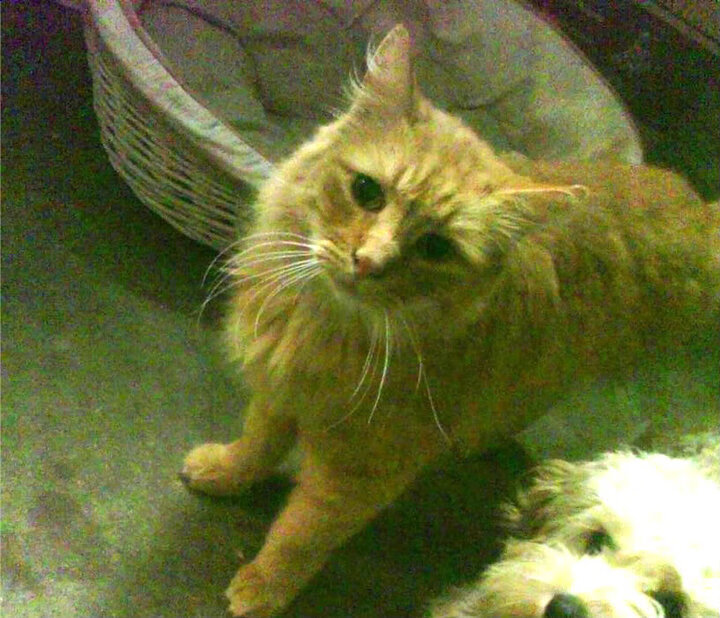 女足世界杯热身赛拉开帷幕，女足世界杯热身赛拉开帷幕是哪一场