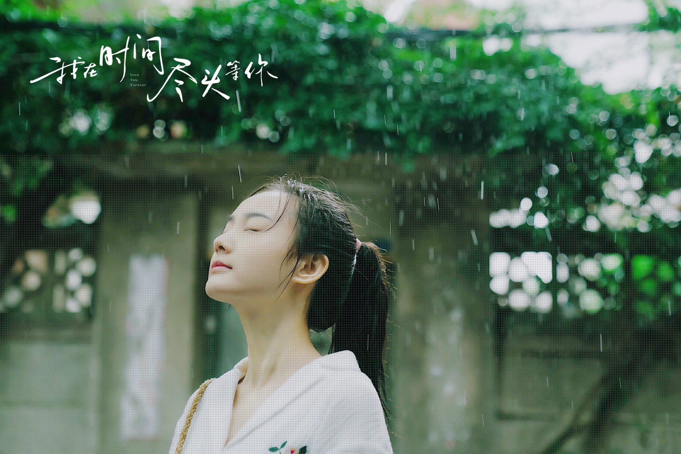 山东泰山主帅调整阵容应对密集赛程,山东泰山队主力阵容