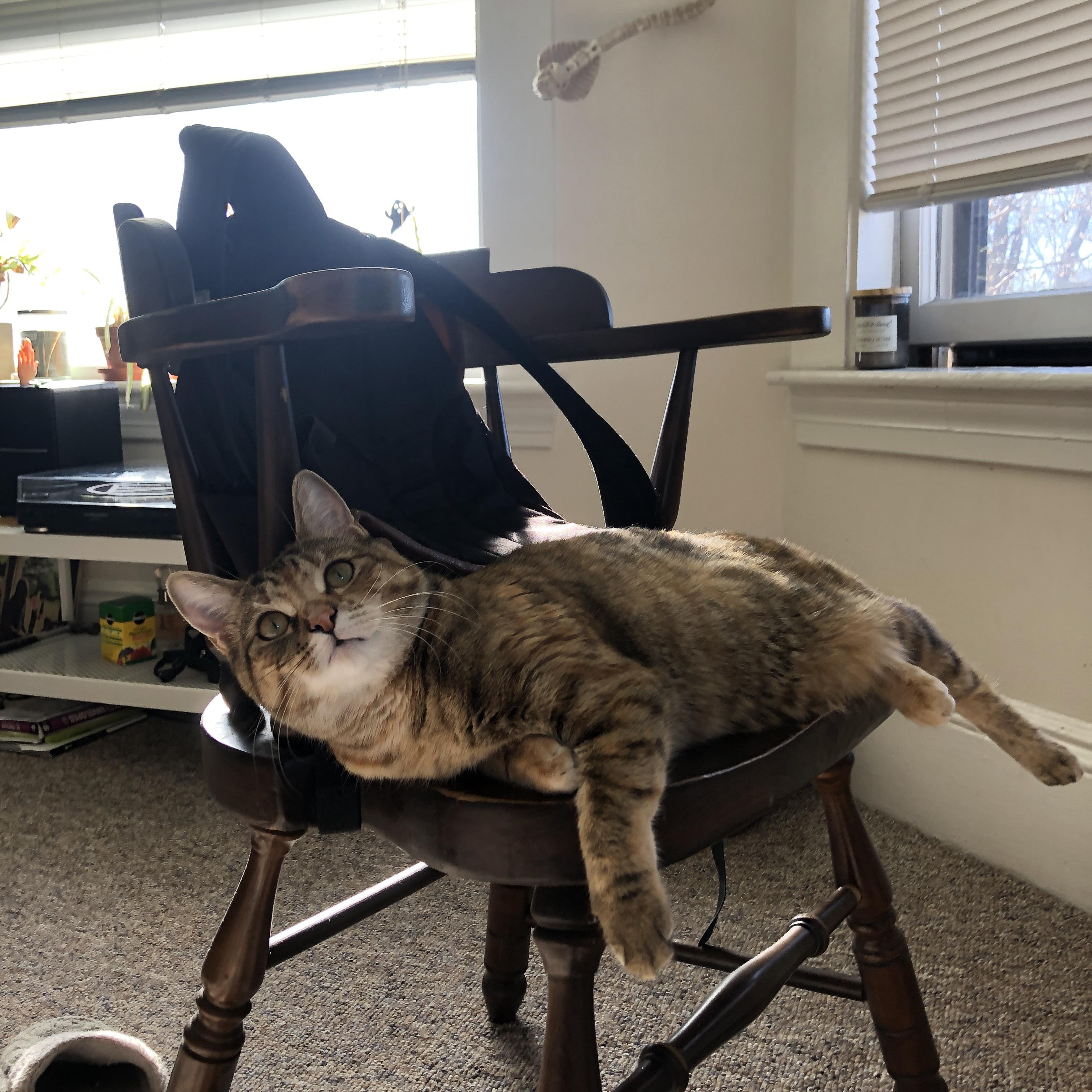 巴黎圣日耳曼阵中大将迪马利亚恢复出战,迪马利亚续约大巴黎