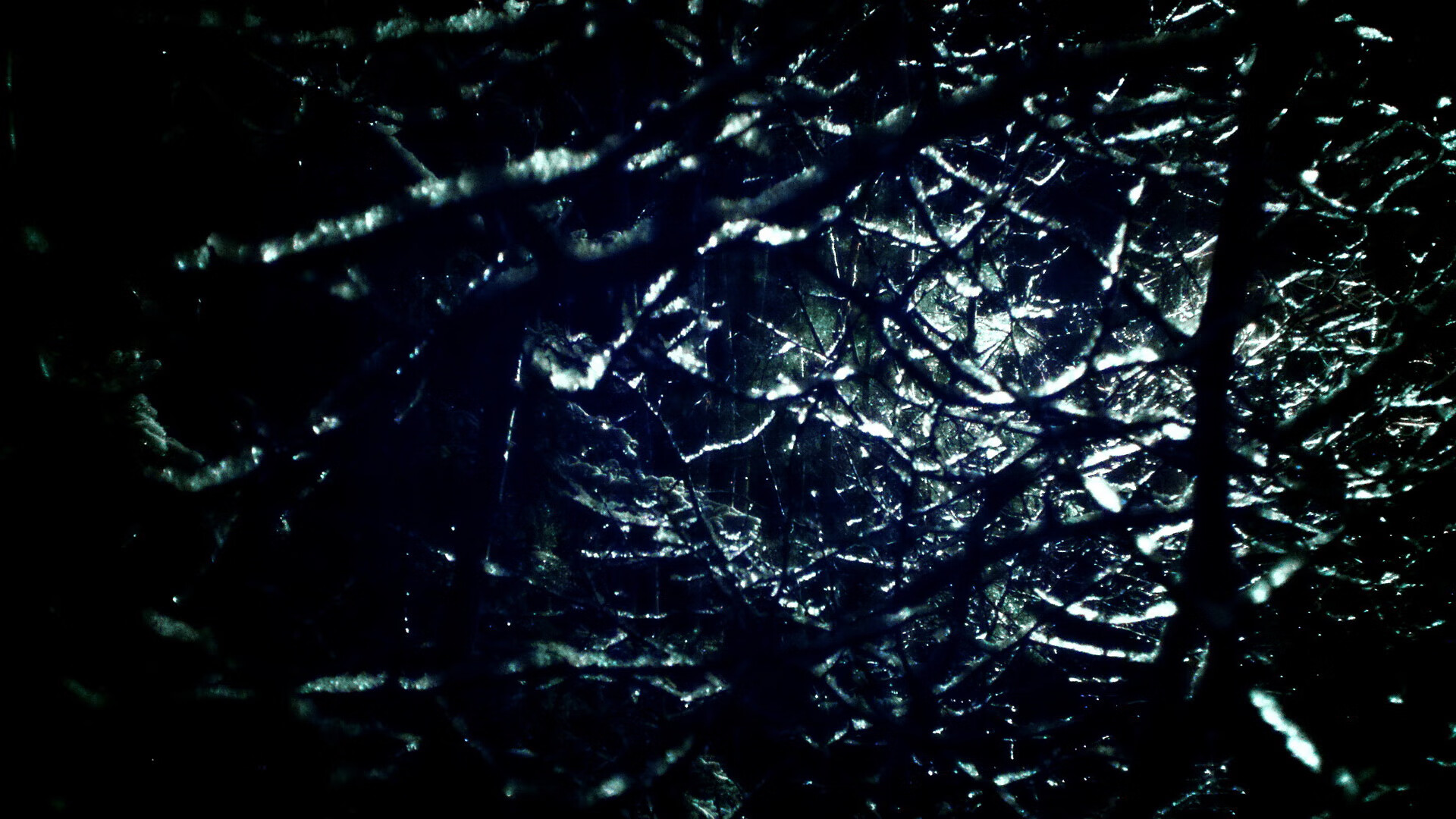 下载开云-最新足球资料：女足比赛中的团队精神！，女足队友