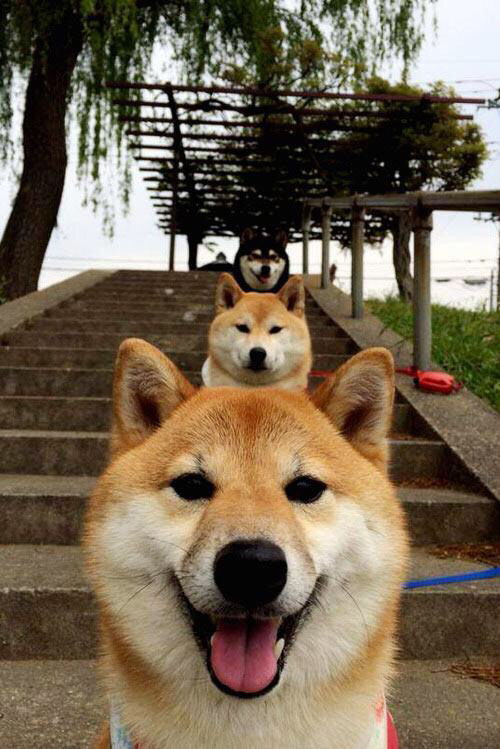 世界青少年水上滑板锦标赛震撼来袭,水上滑板初学者开始怎么练