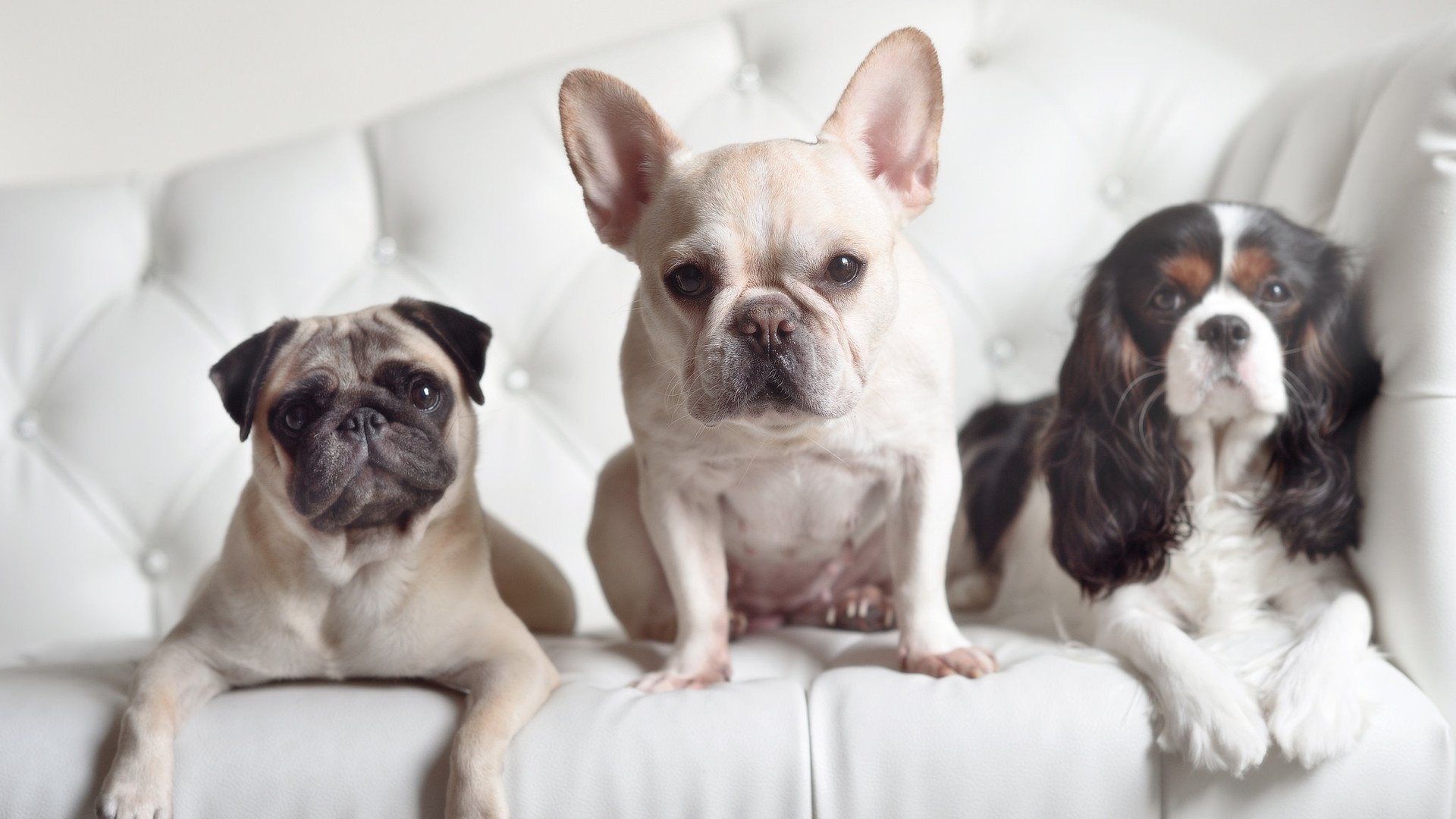 经典战役盘点：五大联赛过去的“天王之战”