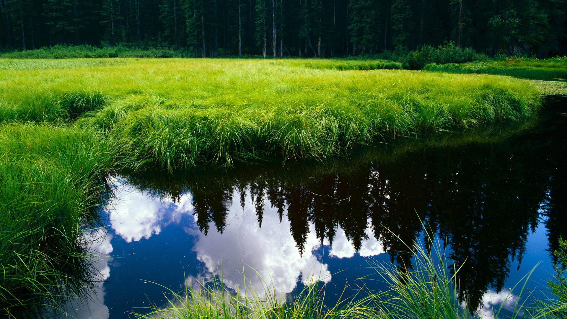 经典战役盘点：五大联赛过去的“天王之战”