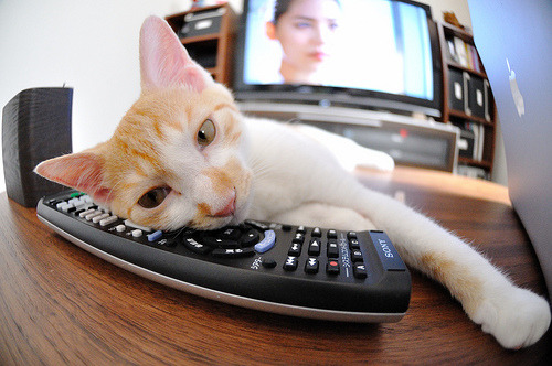 100米自由泳终段冲刺节奏变化,100米自由泳时间对照表