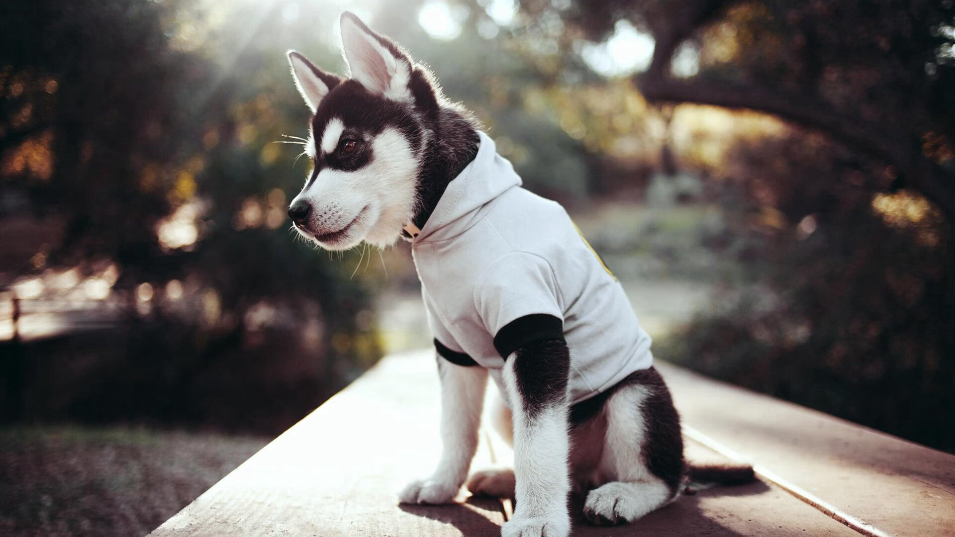 “短柄墙球赛:高新区全民健身馆,脑力与体力的全方位较量”