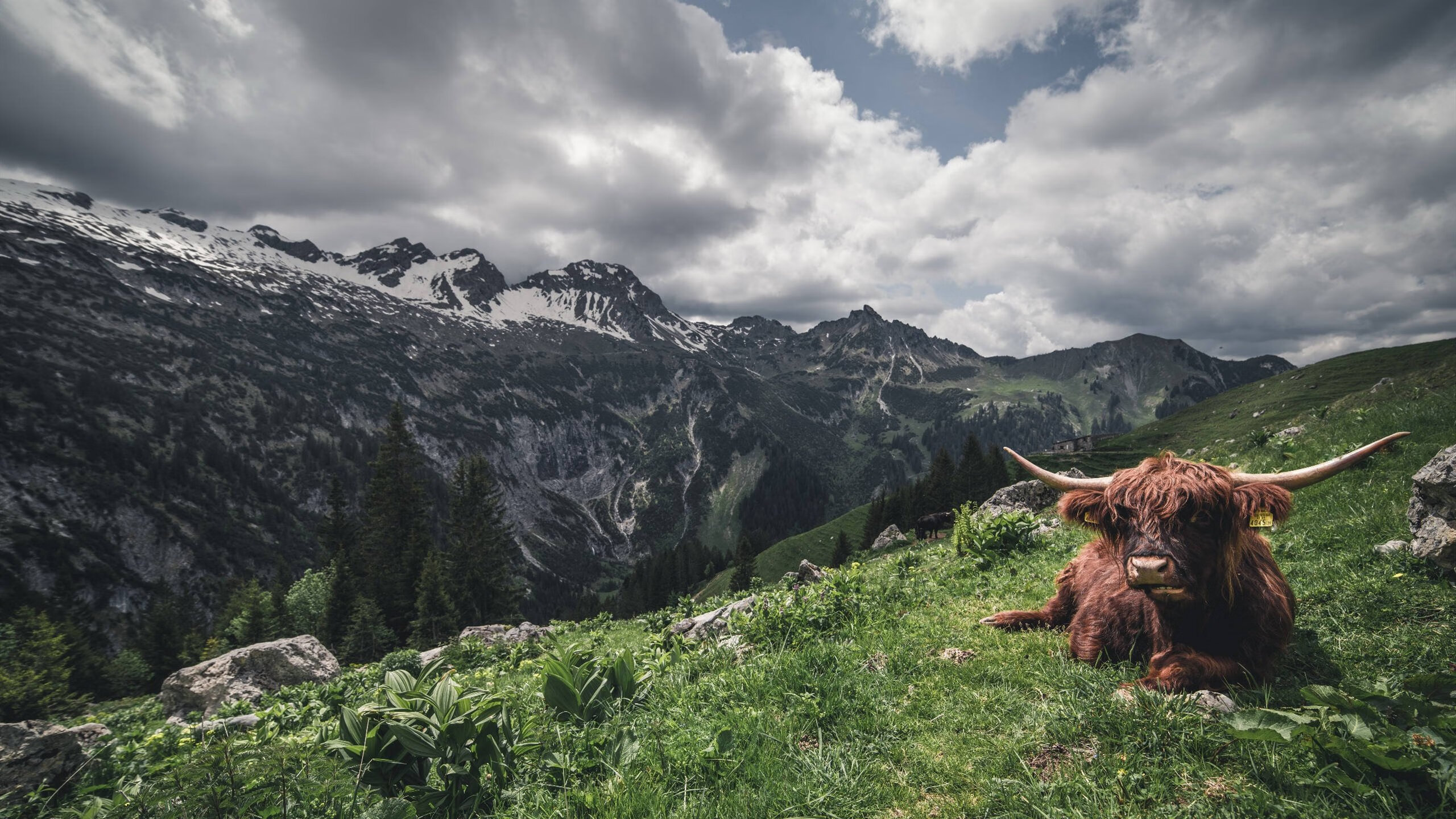 乒乓球机器人亮相助力训练智能升级,trainerbot智能乒乓球机器人