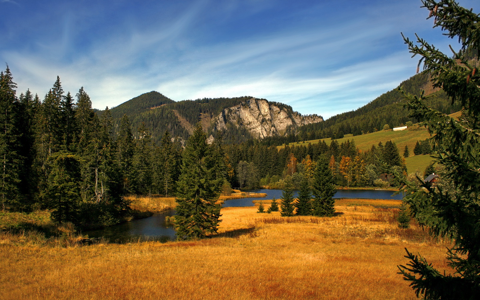 体育新闻中心开展体育短视频创作能力培训,如何创意体育类短视频