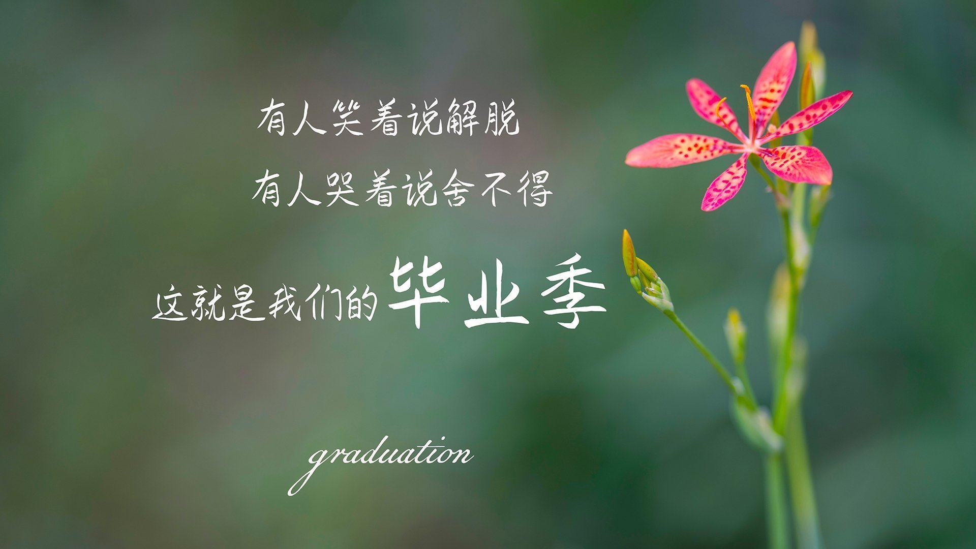 国家队中锋体系为何难以接轨现代打法,中锋队员