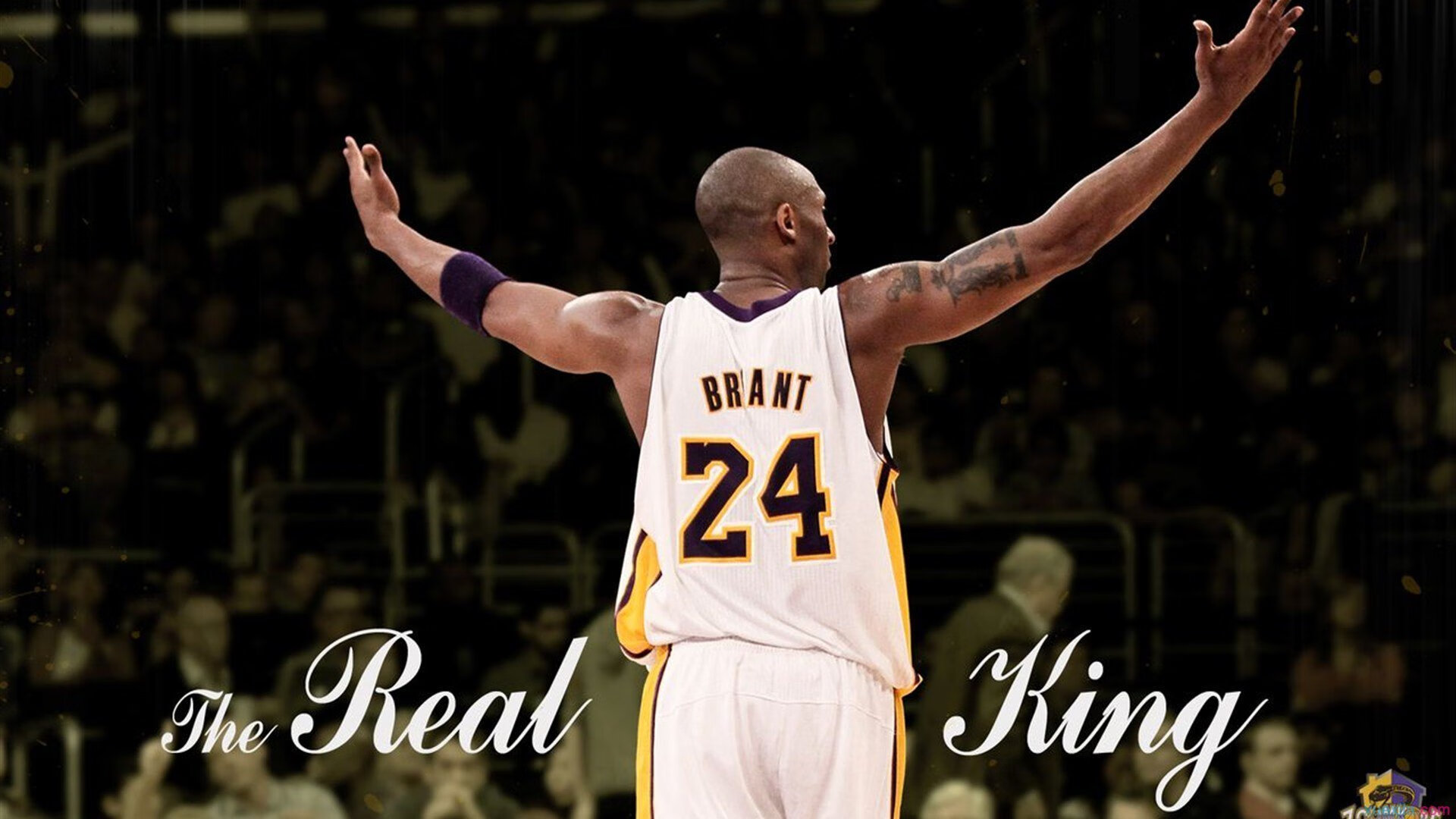 开云APP下载-【双明星对决】Judge与萨拉查激烈PK